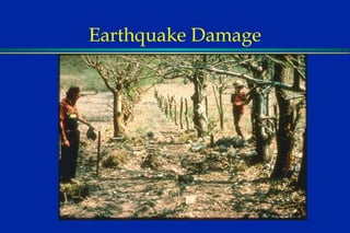 Earthquake Damage 