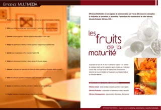 Efficience Plaquette2006