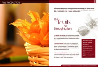 Efficience Plaquette2006