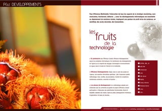 Efficience Plaquette2006