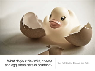 What do you think milk, cheese   Tany_Kelly Creative Commons from Flickr
and egg shells have in common?
 