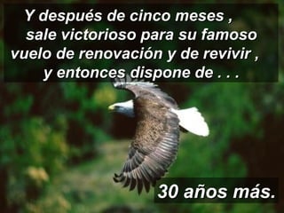 Y después de cinco meses ,  sale victorioso para su famoso vuelo de renovación y de revivir ,  y entonces dispone de . . . 30 años más. 
