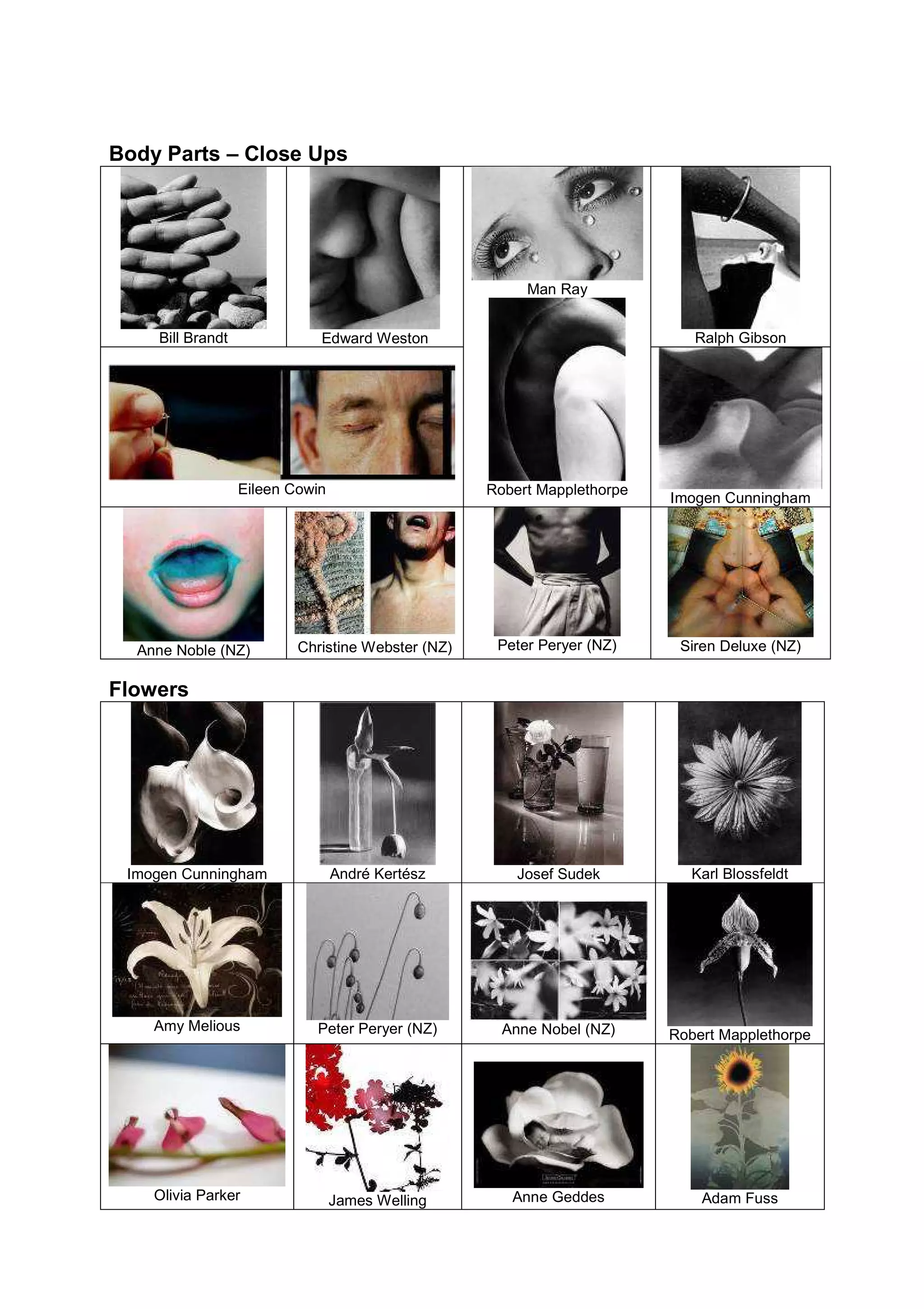 Established Practice In Photography