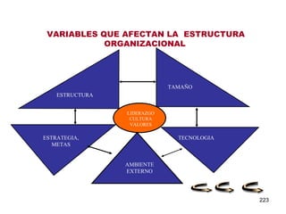 VARIABLES QUE AFECTAN LA  ESTRUCTURA ORGANIZACIONAL   LIDERAZGO CULTURA VALORES ESTRUCTURA ESTRATEGIA, METAS AMBIENTE EXTERNO TECNOLOGIA TAMAÑO 