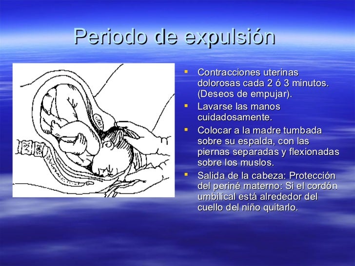 Etapa Prenatal