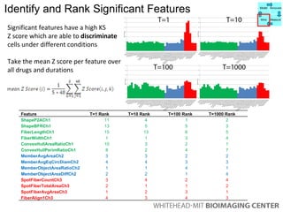 Significant features have a high KS  Z score which are able to  discriminate  cells under different conditions Take the mean Z score per feature over all drugs and durations Identify and Rank Significant Features Model Manipulate Mine Measure Feature T=1 Rank T=10 Rank T=100 Rank T=1000 Rank ShapeP2ACh1 11 4 1 2 ShapeBFRCh1 13 5 5 3 FiberLengthCh1 15 13 6 5 FiberWidthCh1 1 1 3 4 ConvexHullAreaRatioCh1 10 3 2 1 ConvexHullPerimRatioCh1 8 2 4 7 MemberAvgAreaCh2 3 3 2 2 MemberAvgEqCircDiamCh2 4 4 3 3 MemberObjectAreaRatioCh2 1 1 4 1 MemberObjectAreaDiffCh2 2 2 1 4 SpotFiberCountCh3 3 4 2 4 SpotFiberTotalAreaCh3 2 1 1 2 SpotFiberAvgAreaCh3 1 2 3 1 FiberAlign1Ch3 4 3 4 3 