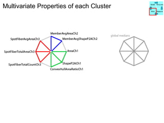 Multivariate Properties of each Cluster Model Manipulate Mine Measure 