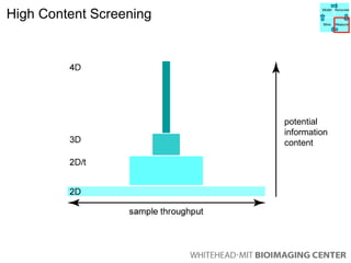 potential information content High Content Screening Model Manipulate Mine Measure 