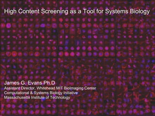 High Content Screening as a Tool for Systems Biology James G. Evans Ph.D Assistant Director, Whitehead MIT BioImaging Center Computational & Systems Biology Initiative Massachusetts Institute of Technology 