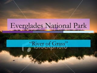 Everglades National Park “ River of Grass” 