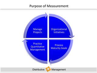 Healthy Projects or Pigs in Lipstick?