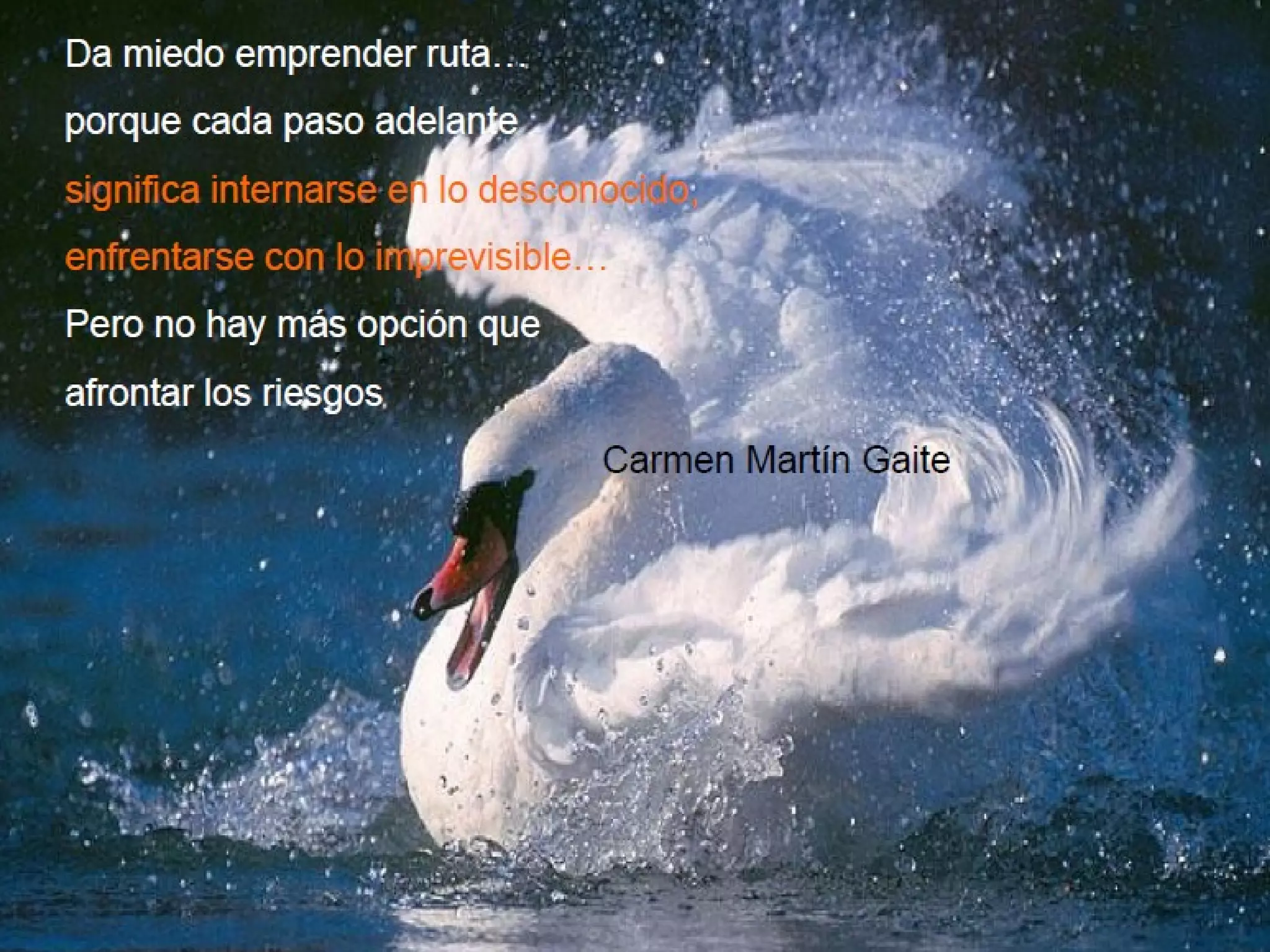 Buscar información. 