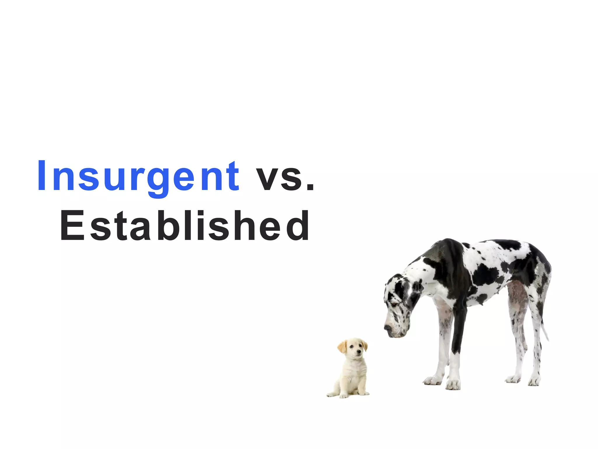 Insurgent  vs. Established 