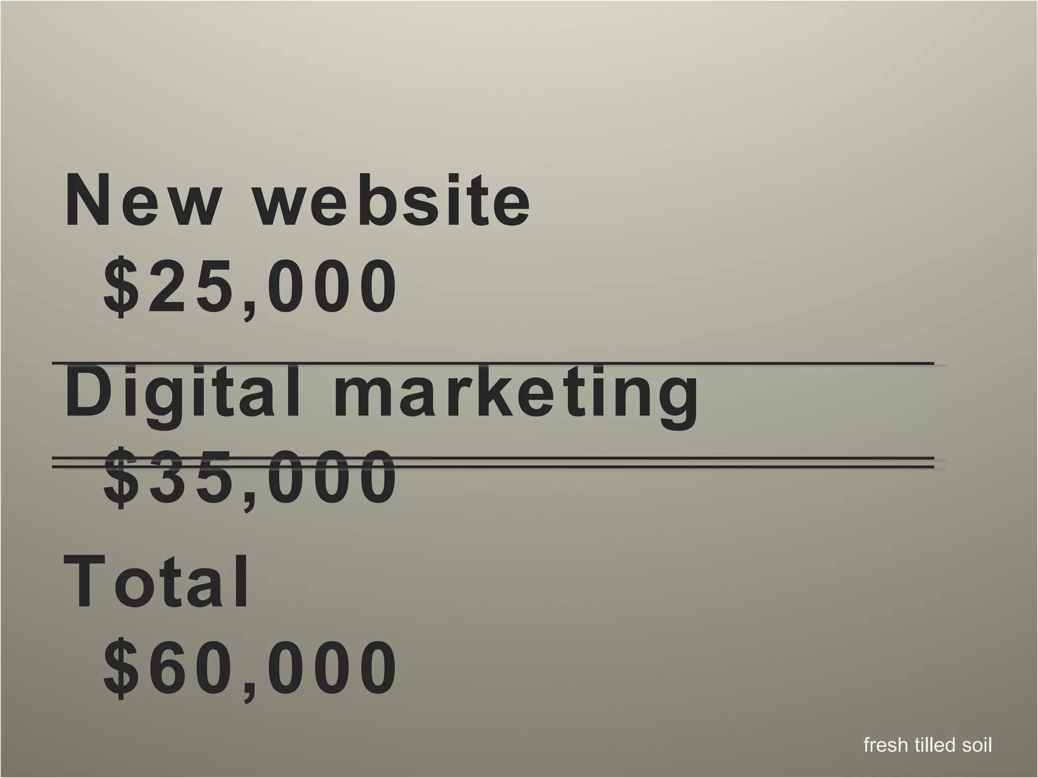 New website $25,000 Digital marketing $35,000 Total  $60,000 
