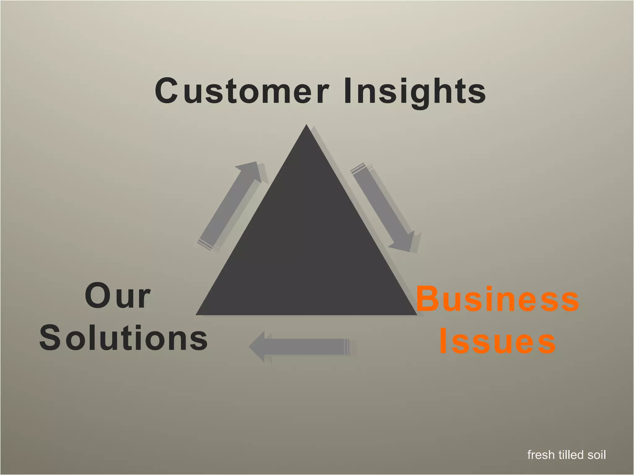 Customer Insights Our  Solutions Business Issues 