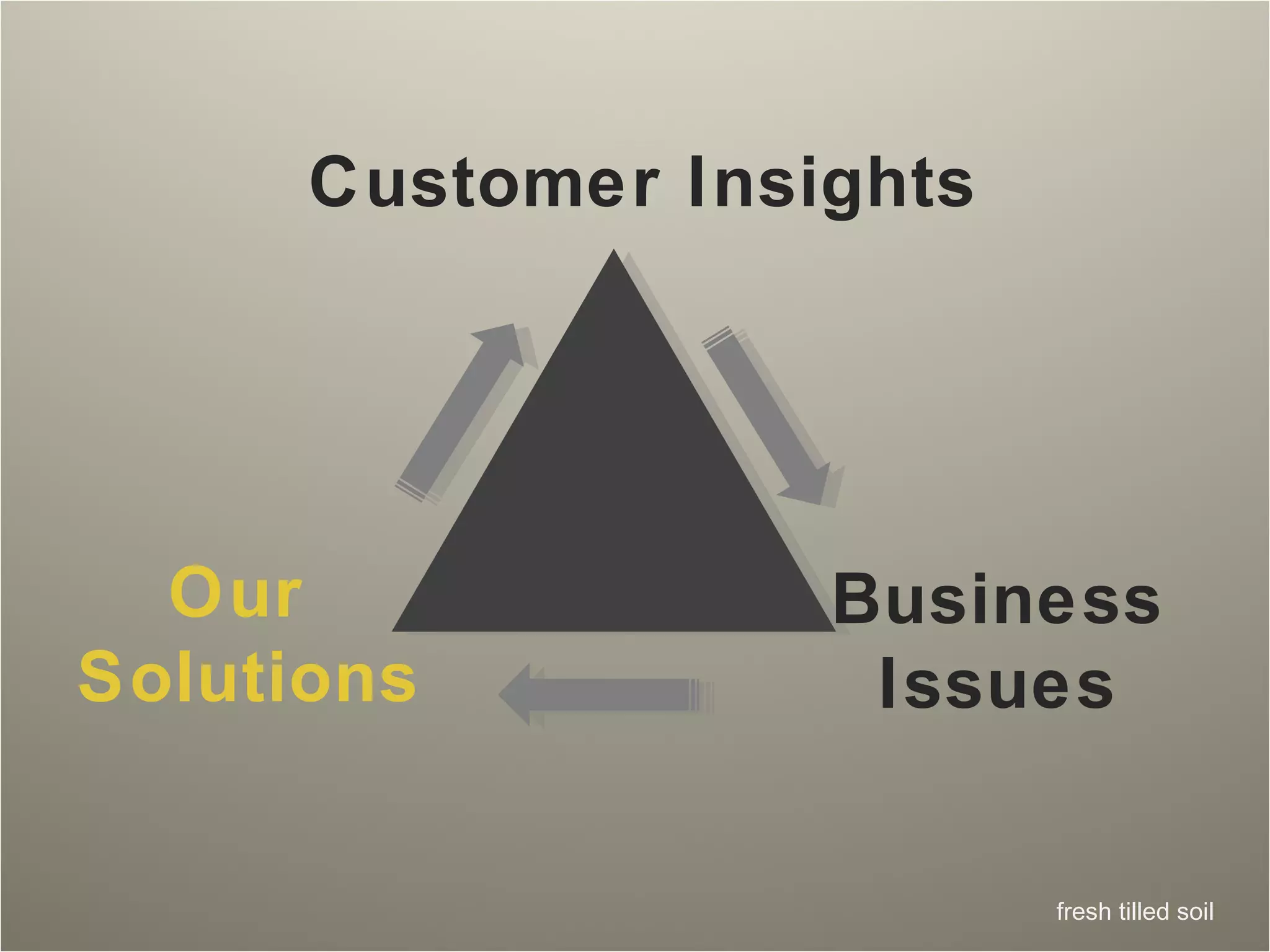 Customer Insights Our  Solutions Business Issues 
