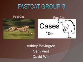 Ashley Bevington Sam Vest David Witt Fast Cat FastCat 