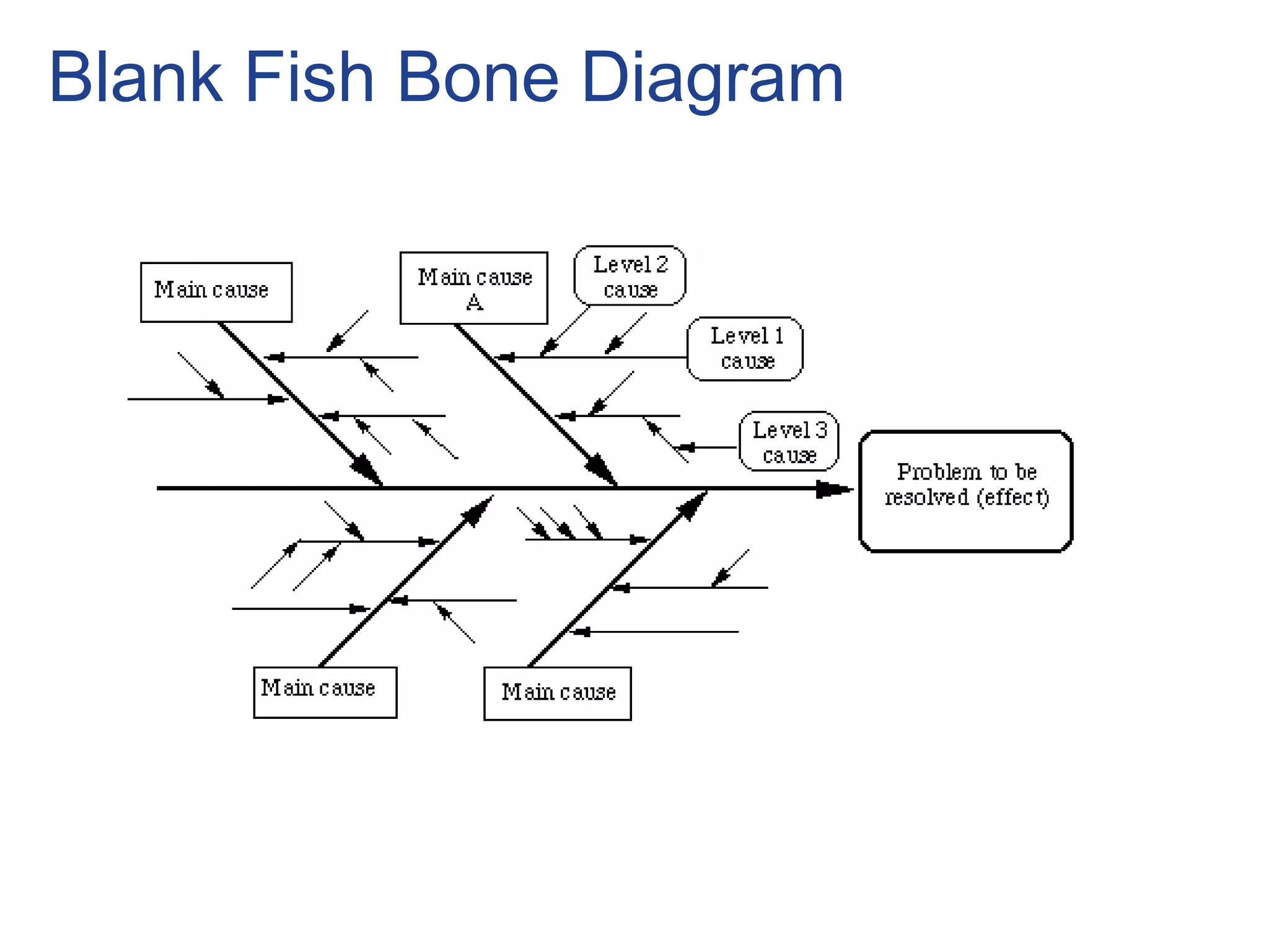 Blank Fish Bone Diagram
 