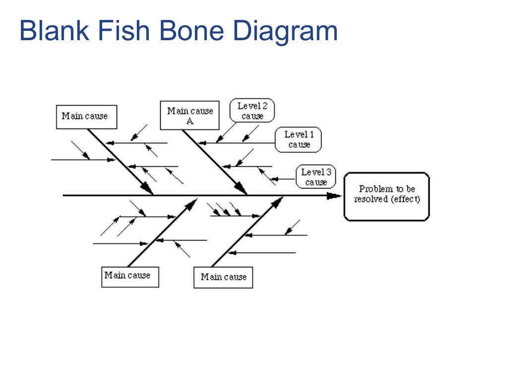 Fish Bone Diagram
