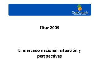 Fitur 2009



El mercado nacional: situación y
         perspectivas
 