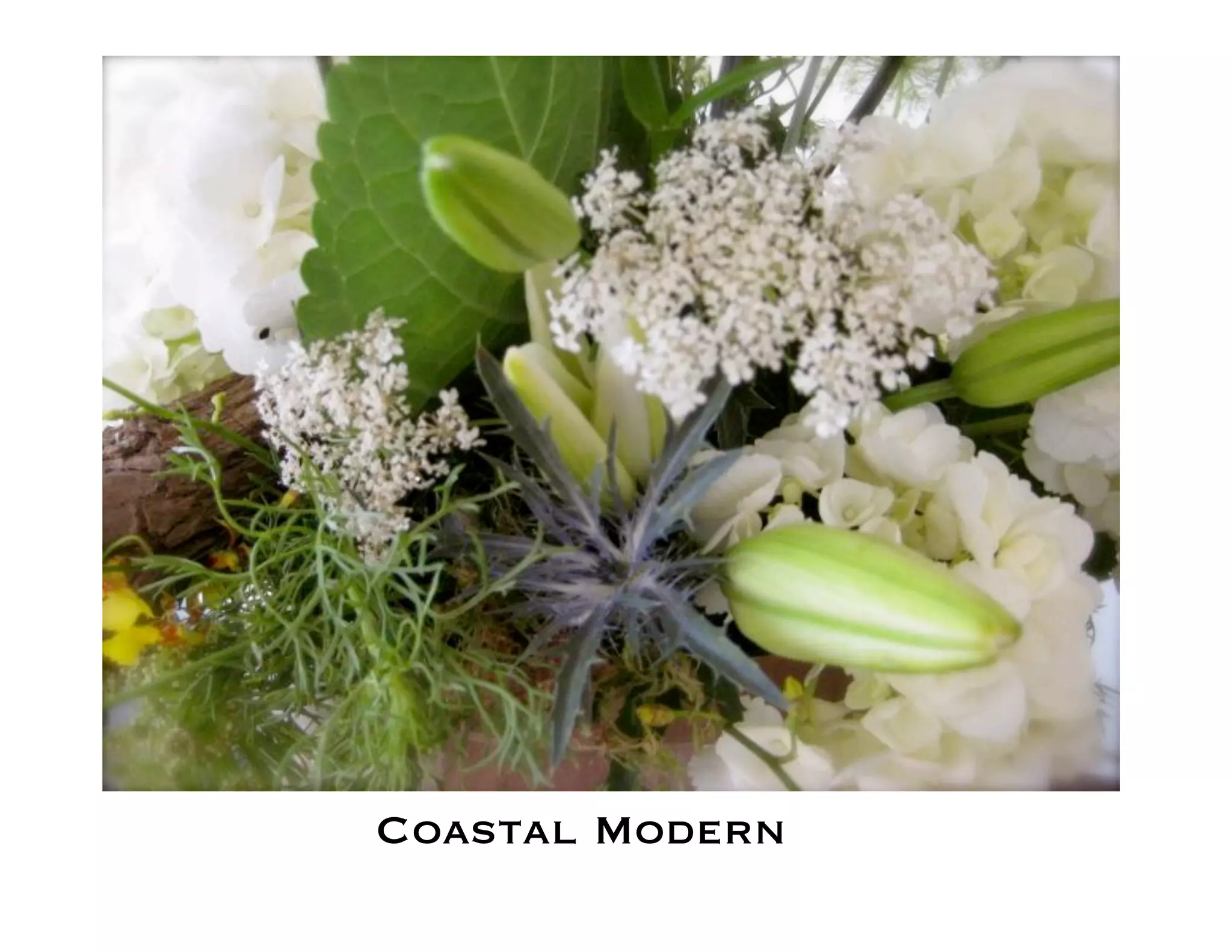 Flower Design Portfolio