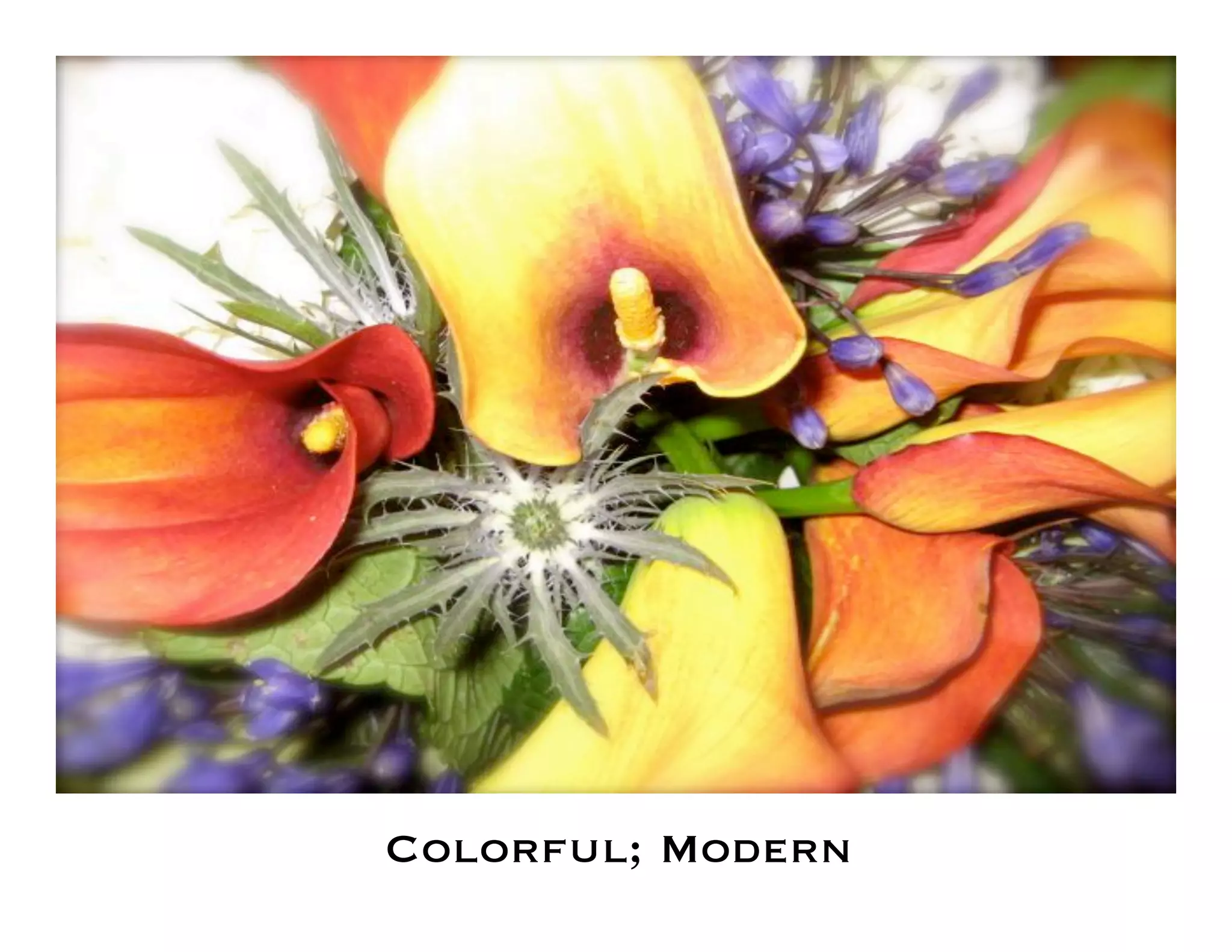 Flower Design Portfolio