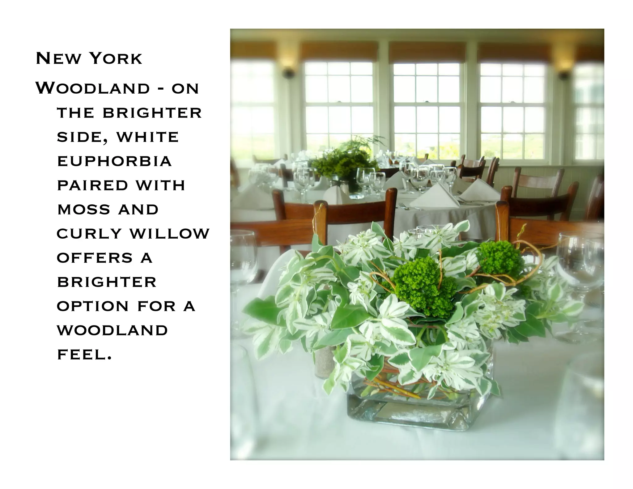 Flower Design Portfolio