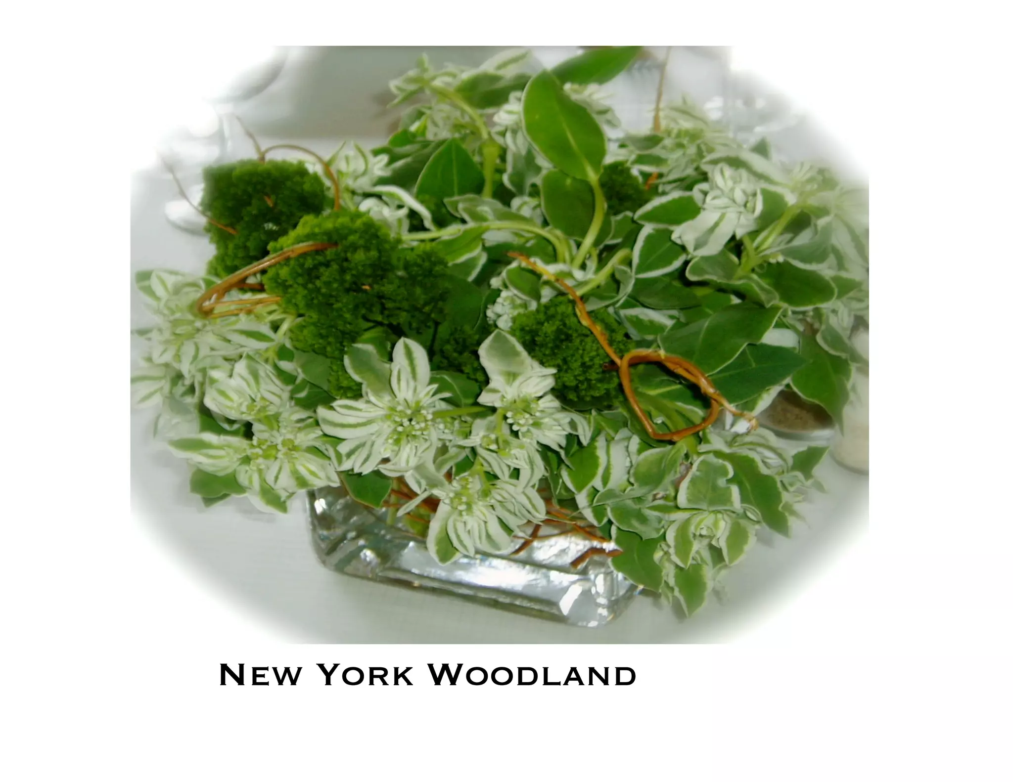 Flower Design Portfolio