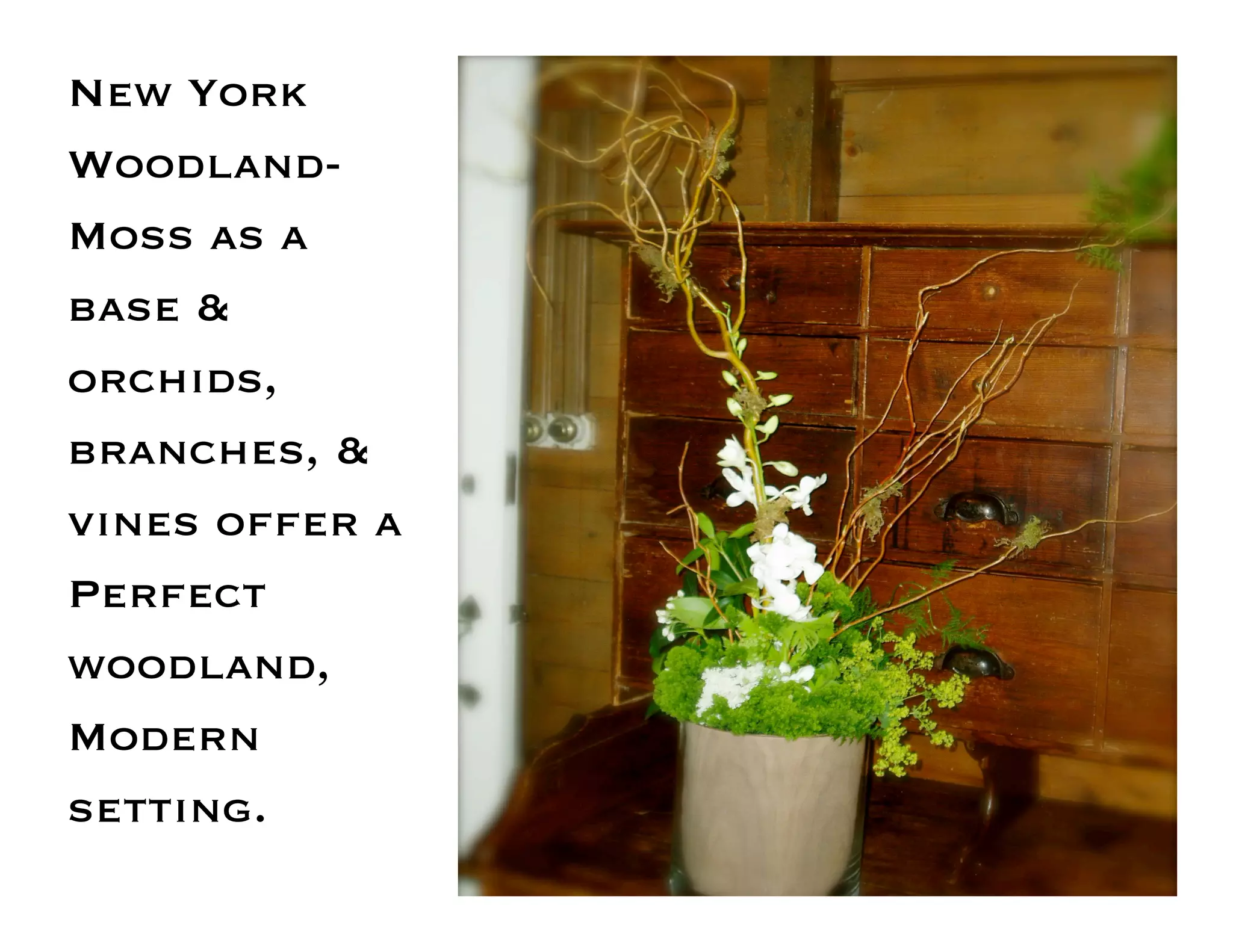 Flower Design Portfolio