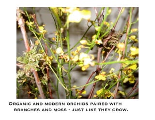 Flower Design Portfolio