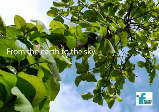 From the earth to the sky.
 