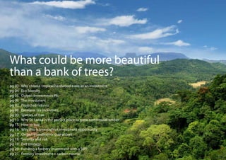 What could be more beautiful
than a bank of trees?
pg 03   Why choose tropical hardwood trees as an investment
pg 04   Eco...