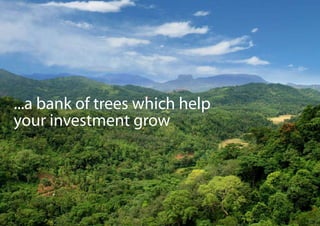 ...a bank of trees which help
your investment grow
 
