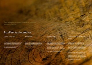 There are various incentives in the UK for individual
investors in forestry.




Excellent tax incentives
Capital Gains Ta...