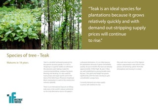 “Teak is an ideal species for
                                                                                  plantation...