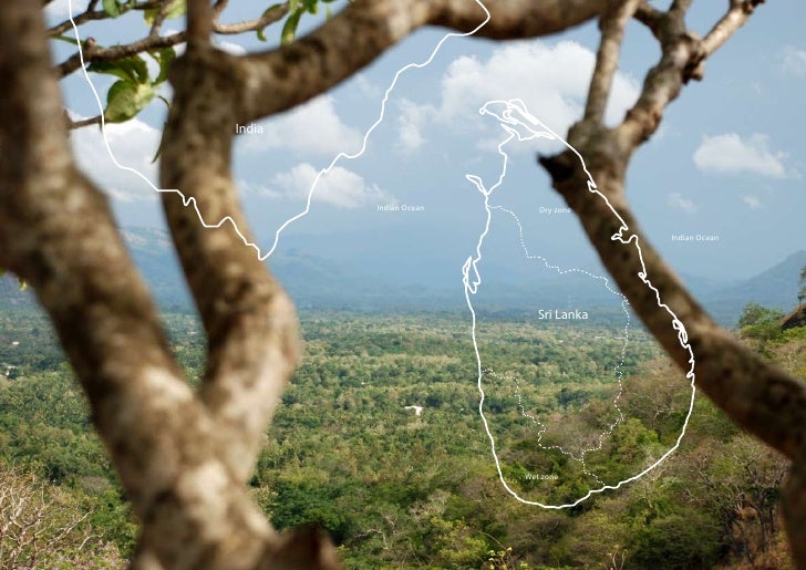 Forestry Investment Brochure