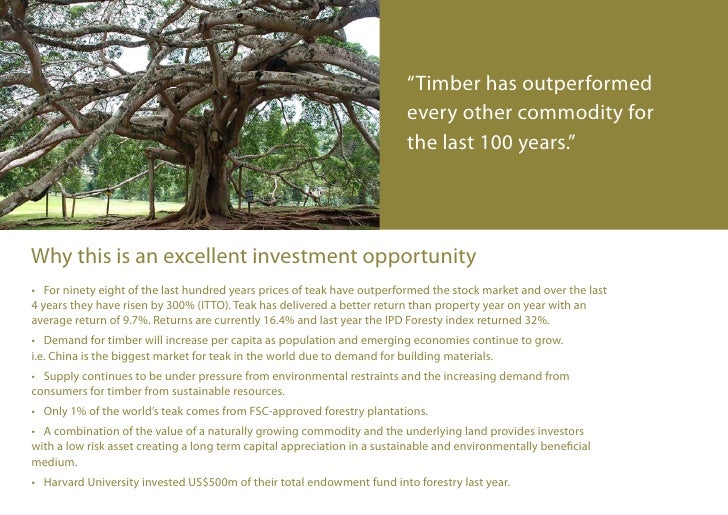 Forestry Investment Brochure