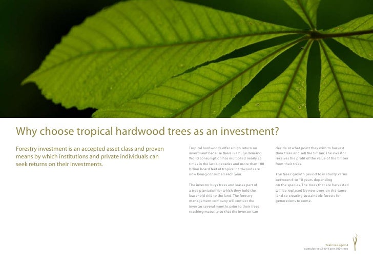 Forestry Investment Brochure