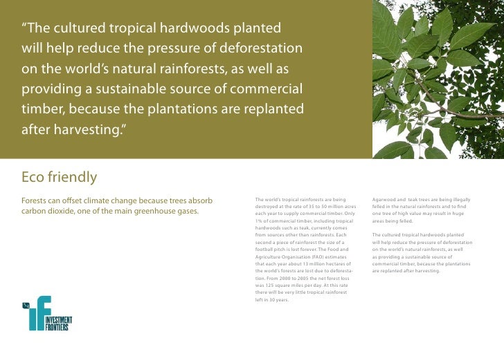 Forestry Investment Brochure
