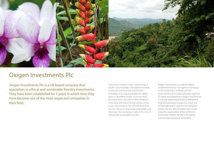 Forestry Investment Brochure