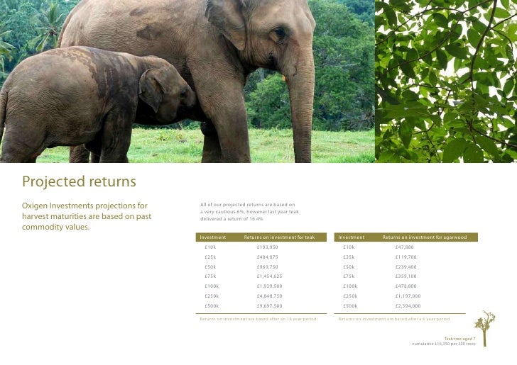 Forestry Investment Brochure