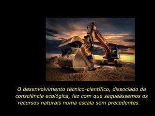 O desenvolvimento técnico-científico, dissociado da consciência ecológica, fez com que saqueássemos os recursos naturais numa escala sem precedentes.  