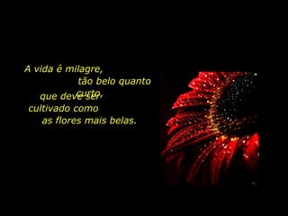 A vida é milagre,  tão belo quanto curto,  que deve ser  cultivado como  as flores mais belas. 