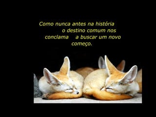 Como nunca antes na história  o destino comum nos conclama  a buscar um novo começo.  