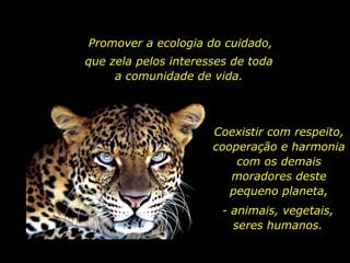 Promover a ecologia do cuidado, que zela pelos interesses de toda a comunidade de vida. Coexistir com respeito, cooperação e harmonia com os demais moradores deste pequeno planeta, - animais, vegetais, seres humanos. 