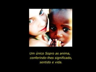 Um único Sopro as anima,  conferindo-lhes significado, sentido e vida. 