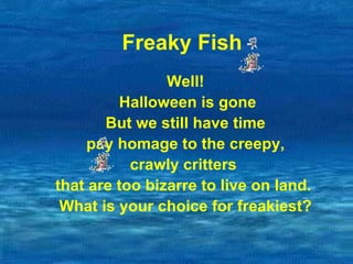 Freaky Fish Well! Halloween is gone But we still have time pay homage to the creepy,  crawly critters  that are too bizarre to live on land.  What is your choice for freakiest? 