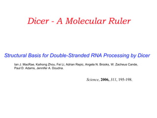 Dicer - A Molecular Ruler Structural Basis for Double-Stranded RNA Processing by Dicer Ian J. MacRae, Kaihong Zhou, Fei Li, Adrian Repic, Angela N. Brooks, W. Zacheus Cande,  Paul D. Adams, Jennifer A. Doudna. Science ,  2006,   311 , 195-198.  