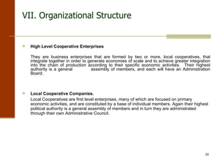 VII. Organizational Structure High Level Cooperative Enterprises  They are business enterprises that are formed by two or more, local cooperatives, that integrate together in order to generate economies of scale and to achieve greater integration into the chain of production according to their specific economic activities.  Their highest authority is a general  assembly of members, and each will have an Administration Board.   Local Cooperative Companies. Local Cooperatives are first level enterprises, many of which are focused on primary economic activities, and are constituted by a base of individual members. Again their highest political authority is a general assembly of members and in turn they are administrated through their own Administrative Council. 