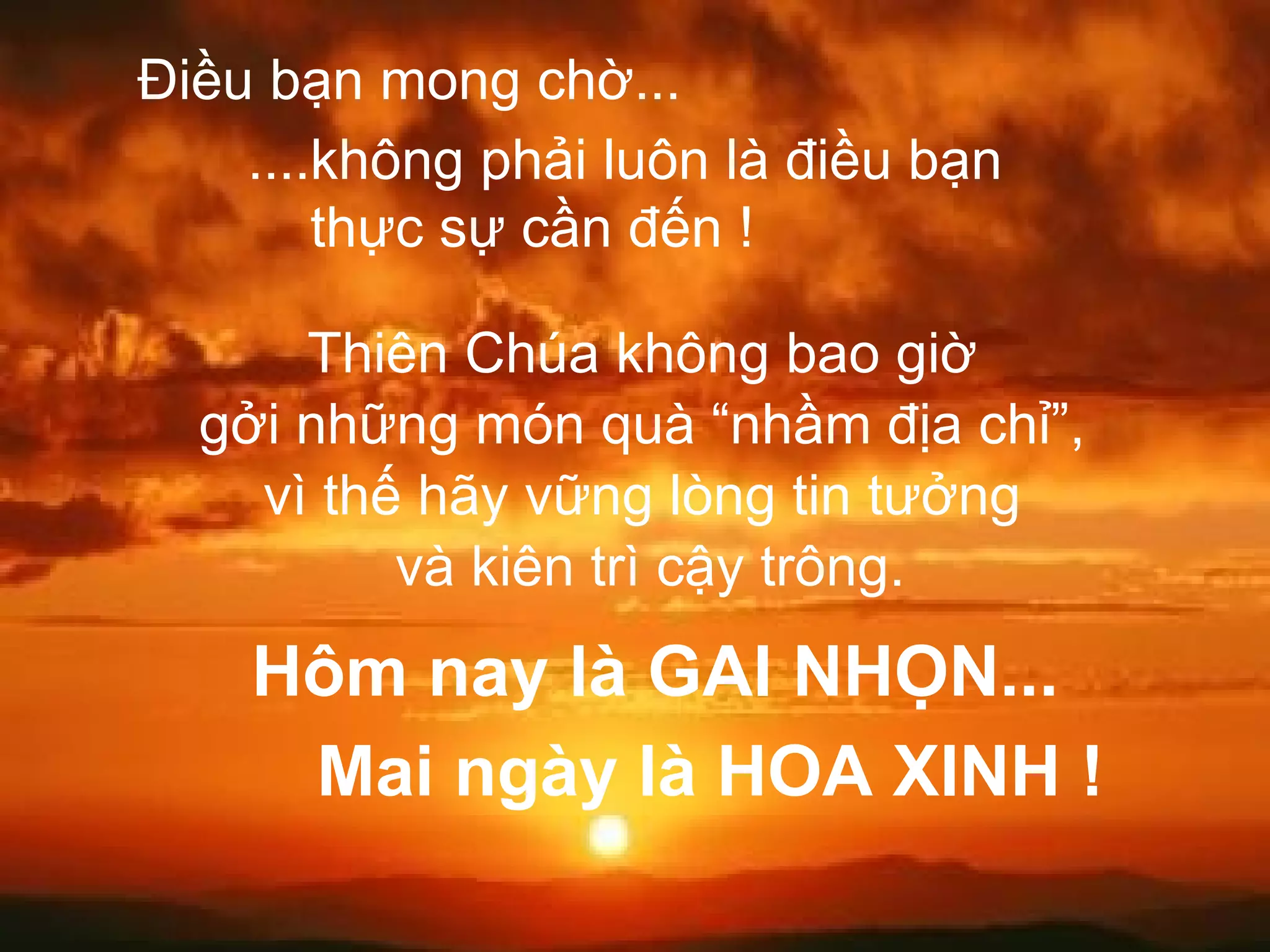 Điều bạn mong chờ... ....không phải luôn là điều bạn    thực sự cần đến ! Thiên Chúa không bao giờ  gởi những món quà “nhầm địa chỉ”,  vì thế hãy vững lòng tin tưởng  và kiên trì cậy trông. Hôm nay là GAI NHỌN... Mai ngày là HOA XINH !  